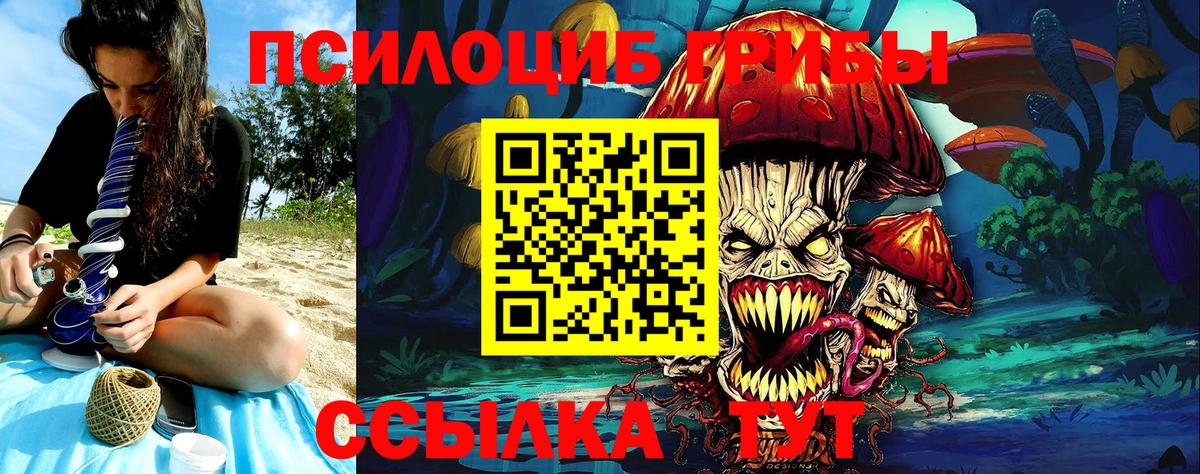 Галлюциногенные грибы Cubensis Ногинск