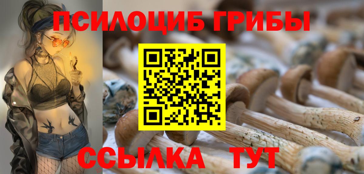 Галлюциногенные грибы Psilocybe  Вход с VPN  Ногинск 